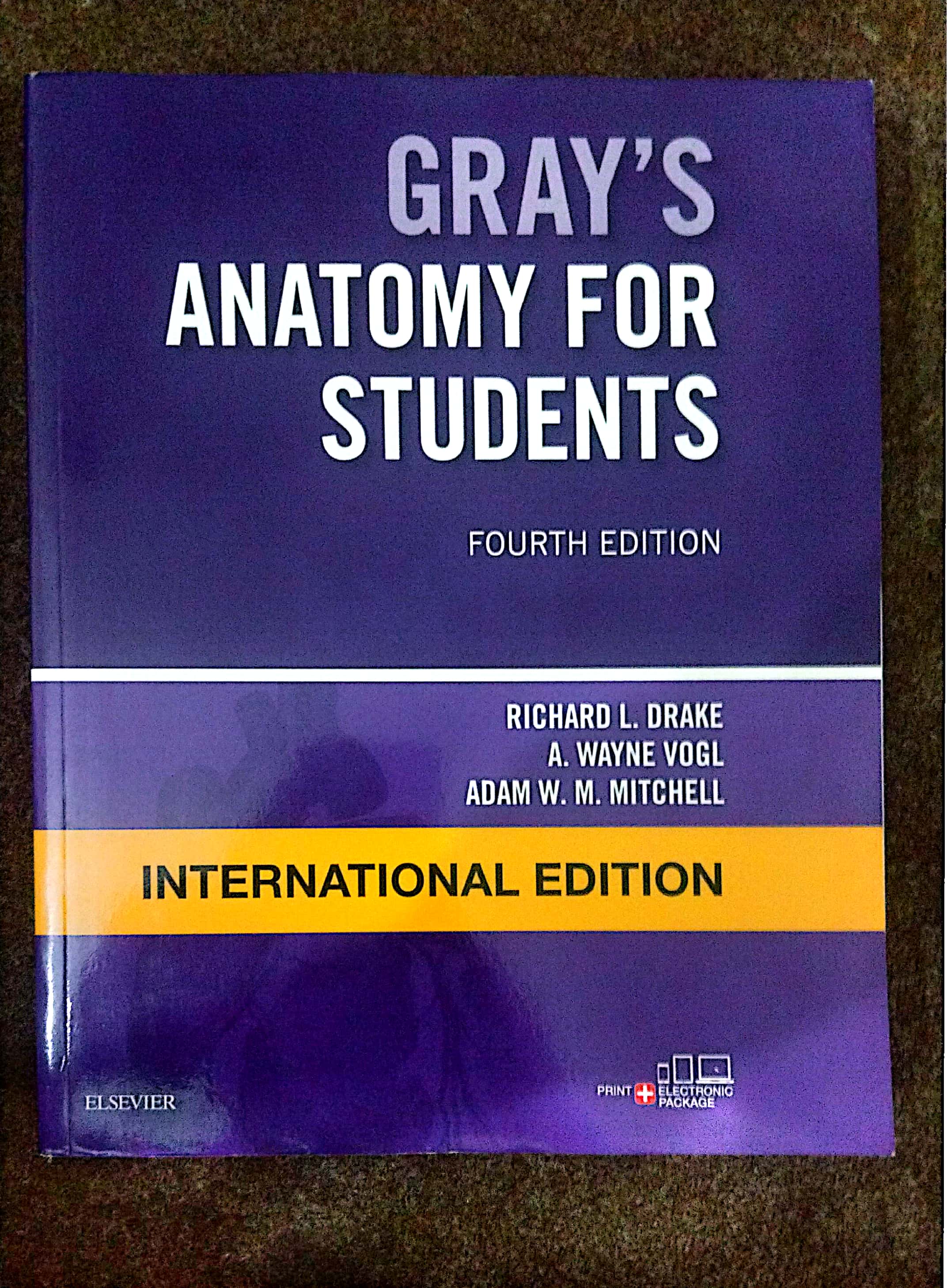 gray's anatomy for students international edition
